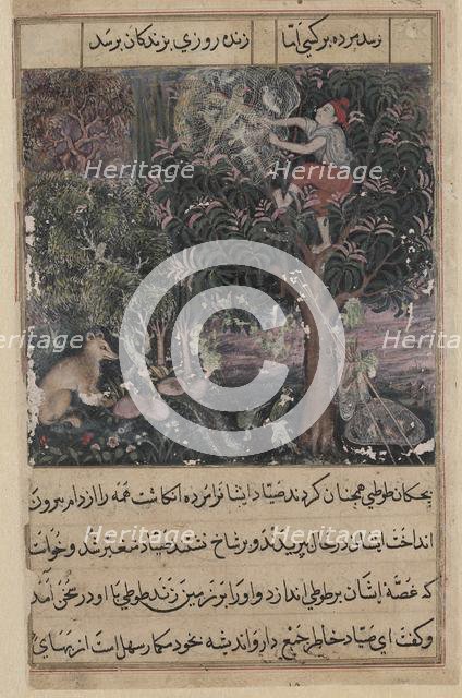 Page from Tales of a Parrot (Tuti-nama): Fifth night: The hunter throws away the baby..., c. 1560. Creator: Basavana (Indian, active c. 1560-1600), attributed to.