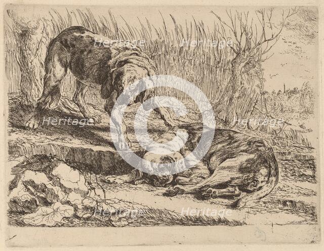 Two Beagles, One Sleeping, probably c. 1640/1642. Creator: Jan Fyt.