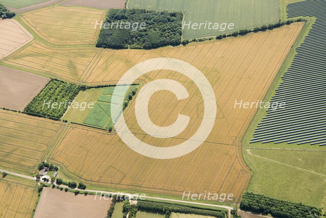 Cropmarks of an Iron Age and/or Roman settlement, Bedford, 2017. Creator: Damian Grady.