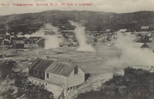 Whakarewarewa, Rotorua, New Zealand, oil baths in foreground,  1904-1915. Creator: Muir & Moodie.