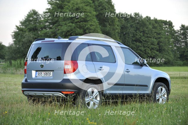 Skoda Yeti 2009. Artist: Simon Clay.