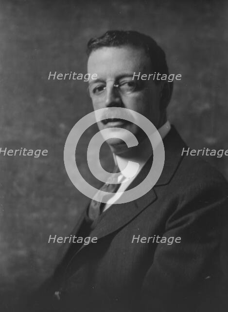 Mr. Boardman, portrait photograph, 1918 Apr. 10. Creator: Arnold Genthe.