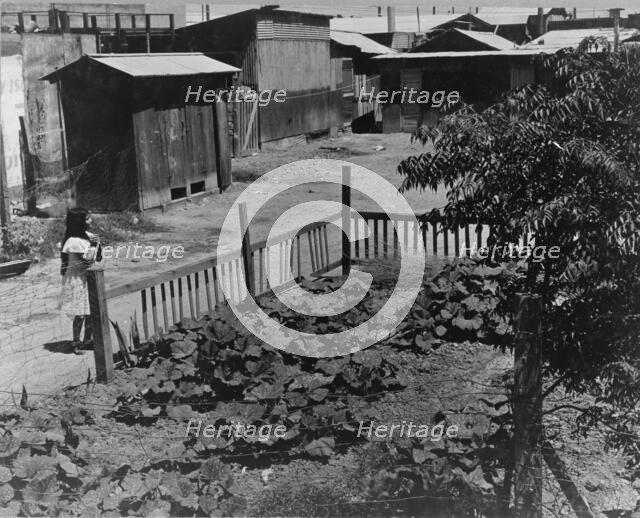 Mexican field laborers' houses, Brawley, Imperial Valley, California, 1935. Creator: Dorothea Lange.