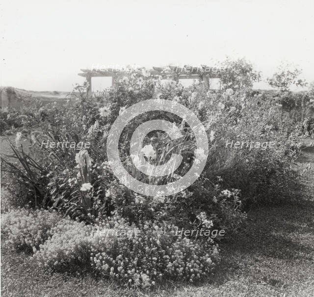 "Gray Gardens," Robert Carmer Hill house, Lily Pond Lane, East Hampton, New York, c1914. Creator: Frances Benjamin Johnston.