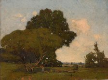 The Trees, Early Afternoon, France, ca. 1905. Creator: William A. Harper.