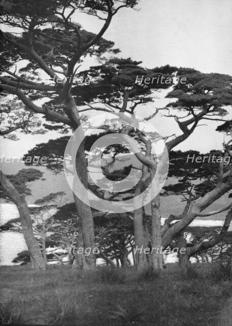 Travel views of Japan and Korea, 1908. Creator: Arnold Genthe.