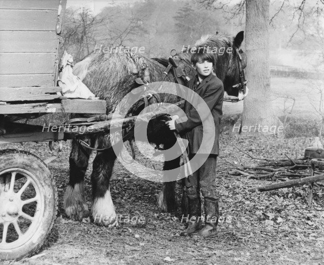 Young gypsy with a horse, 1960s.
