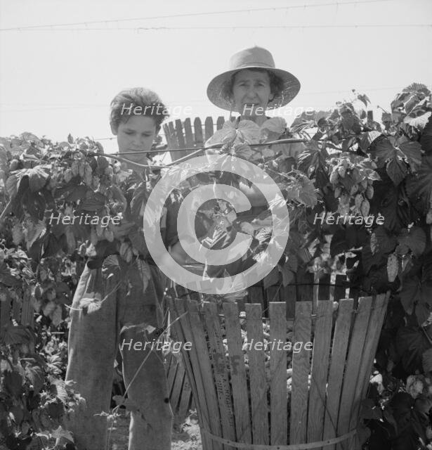 Eleven year old boy and his grandmother, migratory..., near Independence, Polk County, Oregon, 1939. Creator: Dorothea Lange.