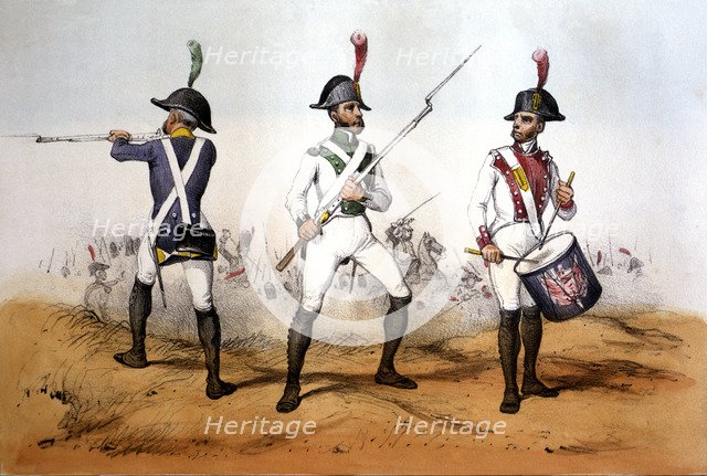 Reign of Charles IV, Infantry, 1805. Line regiment and battalions of light troops: Soldiers and D…