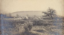 Landscape of a field with hill in background, c1900. Creator: Unknown.