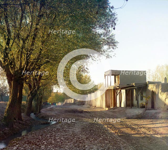 Cape Zelenyi: cluster of Japanese maples, orange trees in the foreground, between 1905 and 1915. Creator: Sergey Mikhaylovich Prokudin-Gorsky.