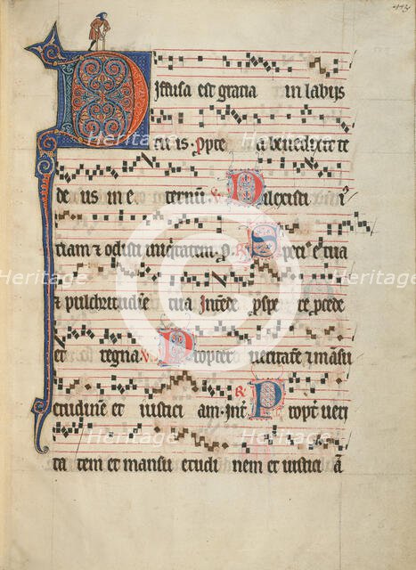 Decorated Initial D; Antiphonal, about 1260-1270. Creator: Unknown.