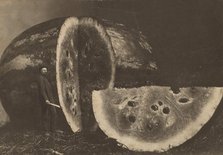 Man Cutting Watermelon, 1898-1903. Creator: Johnson.
