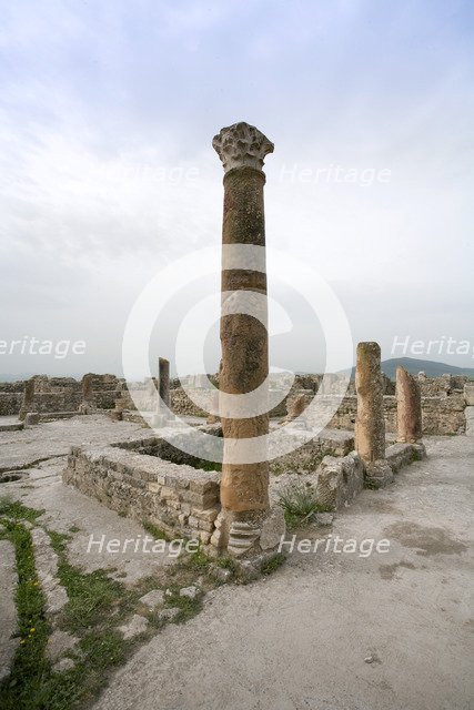 The House of the Hunting Scene, Bulla Regia, Tunisia. Artist: Samuel Magal