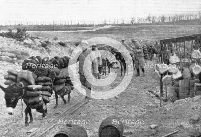 'Les Bourriquots de ravitaillement; dans le region de Verdun, les bourriquots, conduits par..., 1916 Creator: Unknown.