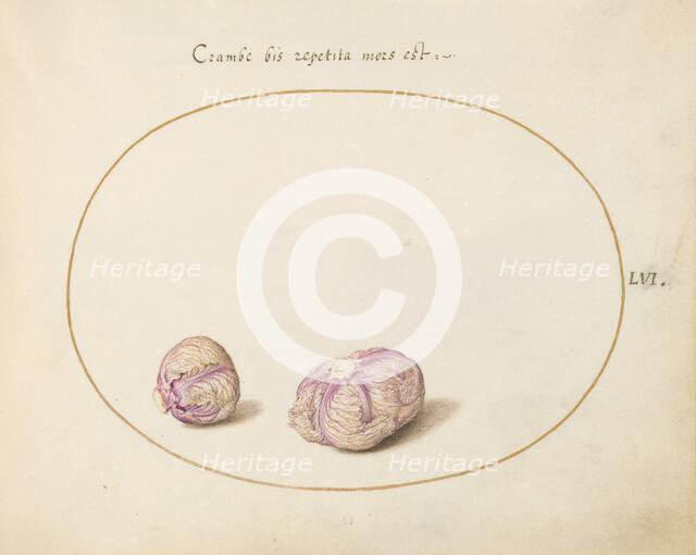 Animalia Qvadrvpedia et Reptilia (Terra): Plate LVI, c. 1575/1580. Creator: Joris Hoefnagel.