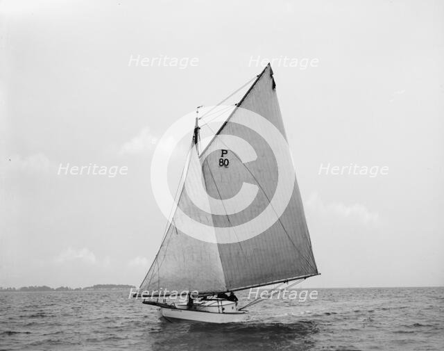 Quantuck, 1897 June 29. Creator: John S Johnston.