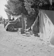 Another migratory family camp during bean harvest, near West Stayton, Marion County, Oregon, 1939. Creator: Dorothea Lange.