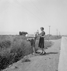 Mrs. Bouchey gets the morning mail, Washington, Yakima Valley, near Toppenish, 1939. Creator: Dorothea Lange.
