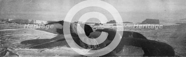 'Granite Blocks Planed by Ancient Glaciers at Cape Roberts', c1911, (1913).  Artist: T Griffith Taylor.