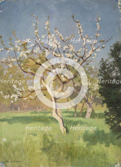 Apple-Tree in Blossom, 1897. Creator: Jan Stanislawski.