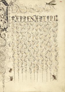 Crane Fly and Ants; Mira calligraphiae monumenta, 1561-1562; illumination added 1591-1596. Creator: Joris Hoefnagel.