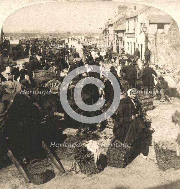 'Selling the Irishman's “Staff of Life”, the Potatoe Market, Galway, Ireland', 1901.  Creator: Works and Sun Sculpture Studios.