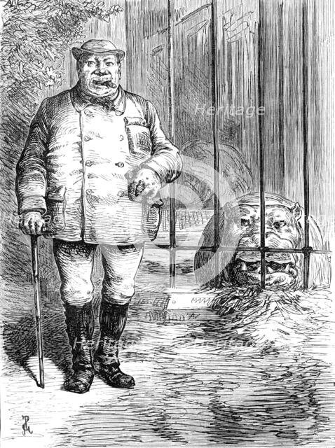 Odd sketches at the Zoological Society's Gardens: pachydermatous or thick-skinned animals, 1880. Creator: Unknown.