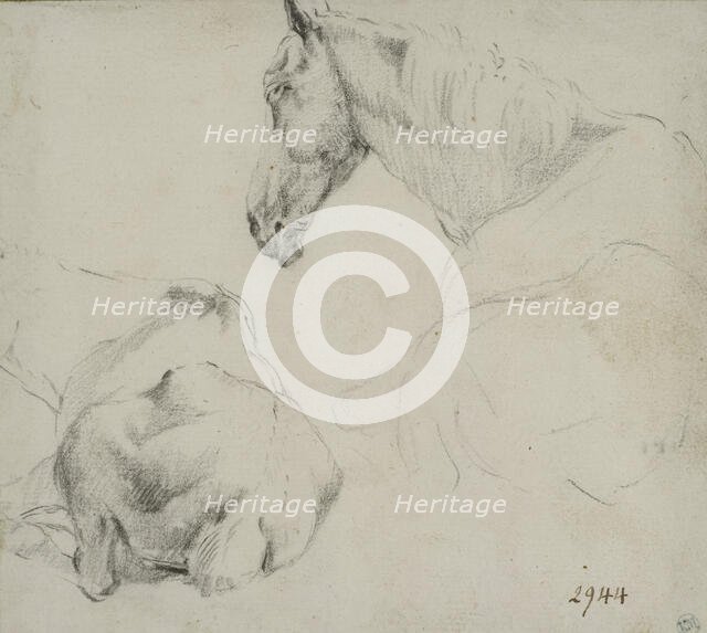 Studies of a horse lying down. Creator: Adriaen van de Velde.