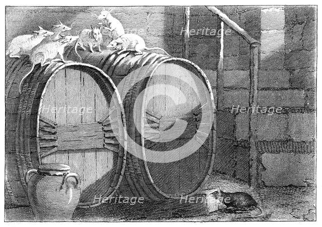 Council held by the Rats Artist: Unknown