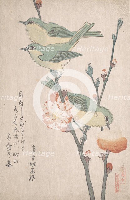 Japanese White-eyes on a Branch of Peach Tree,..., ca. 1805-10. Creator: Kubo Shunman.