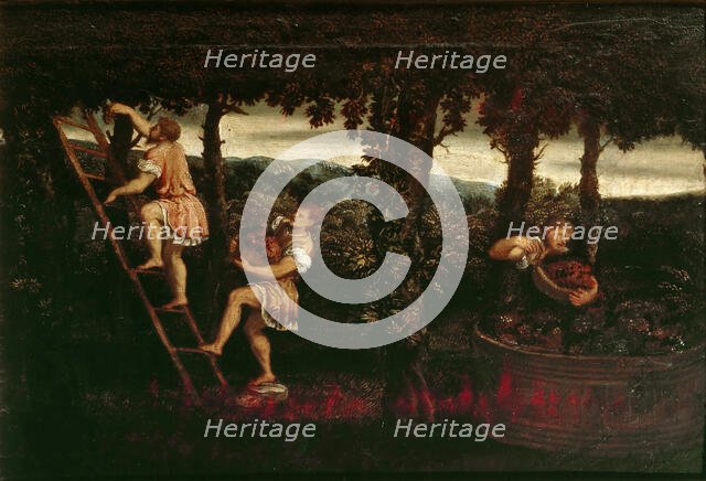 The grape harvest, c. 1550. Creator: Bordone, Paris (1500-1571).