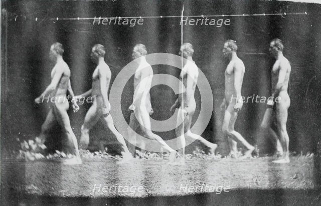 Marey Wheel Photographs of Jesse Godley, 1884. Creator: Thomas Eakins.