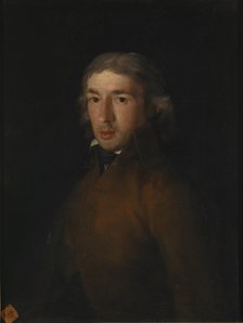 Portrait of Leandro Fernández de Moratín. Artist: Goya, Francisco, de (1746-1828)