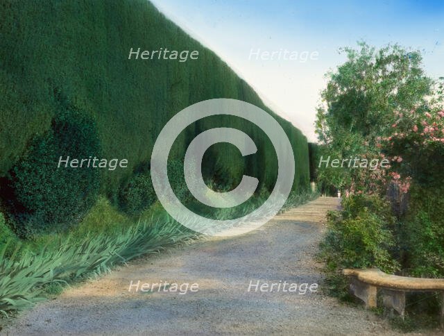 Villa Gamberaia, Settignano, Tuscany, Italy, 1925. Creator: Frances Benjamin Johnston.