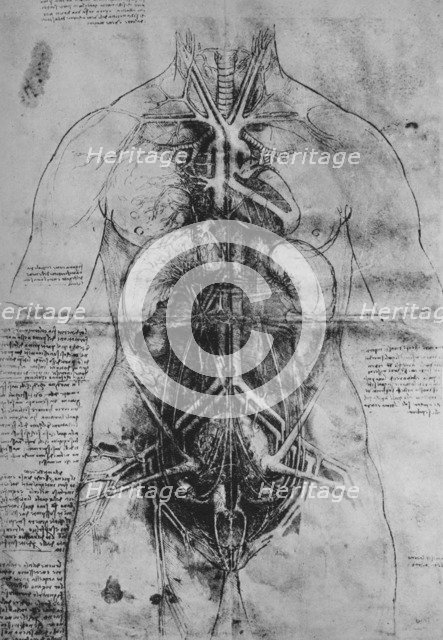 'Dissection of the Principal Organs of a Woman', c1480 (1945). Artist: Leonardo da Vinci.