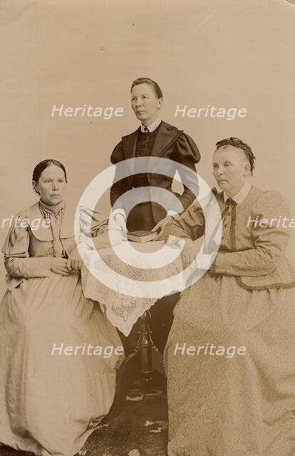Group photo: sisters, wife and sisters of the wife of the merchant GV Yudin, 1895. Creator: Unknown.