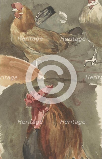 Rooster with chickens, 1874-1925. Creator: Jan Veth.