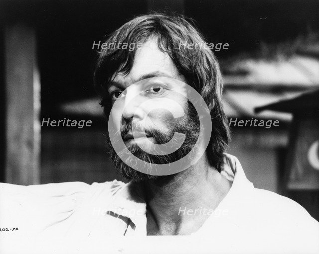 Richard Chamberlain (1935- ), American actor, 1981. Artist: Unknown