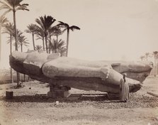 Statue of Ramesses II Resting on Its Back at Memphis, 19th century. Creator: Pascal Sébah.