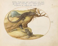 Animalia Qvadrvpedia et Reptilia (Terra): Plate LI, c. 1575/1580. Creator: Joris Hoefnagel.