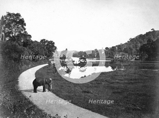 Kandy Lake, Kandy, Sri Lanka, c1910s. Artist: Unknown