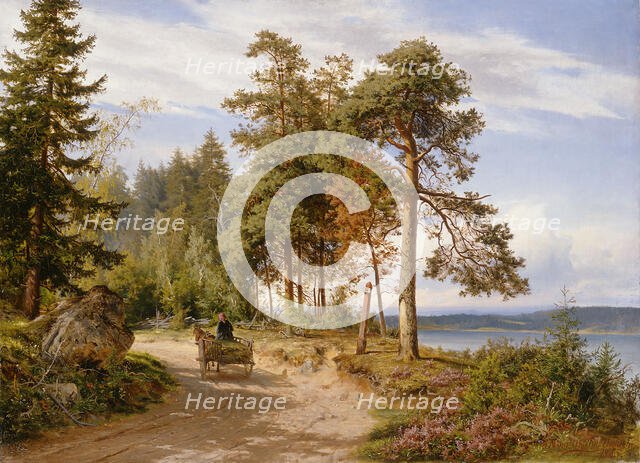 A road in Finland, 1865. Creator: Hjalmar Munsterhjelm.
