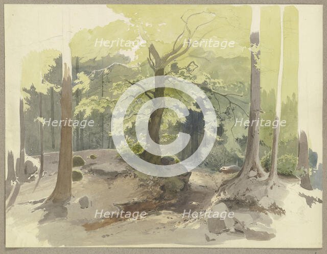 Forest path in the Ilse Valley in the Harz Mountains, c1844. Creator: Carl Theodor Reiffenstein.