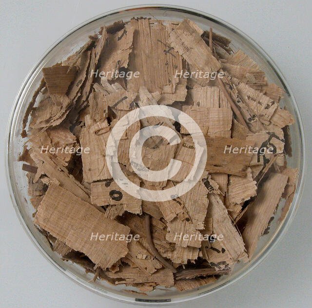 Papyri Fragments, Coptic, 7th century. Creator: Unknown.