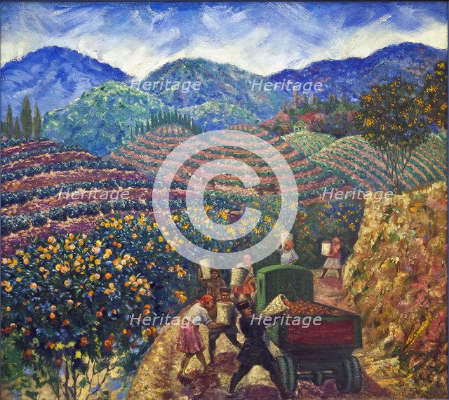 The Harvest in Chakva sovkhoz.