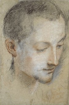 Study of a young Man's Head, late 16th century. Artist: Federico Barocci.