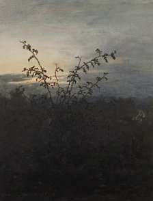 Wild Rose Bush in front of a Nocturnal Landscape, 1864. Creator: Leon Bonvin.