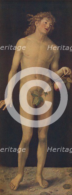 'Adan', (Adam), 1507, (c1934). Artist: Albrecht Durer.