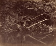 River Bank in the Vale of Neath, c. 1855. Creator: G. B. Gething.
